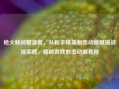 枪火帧间藏温度，从和平精英射击动画触摸战场实感，揭秘游戏射击动画名称