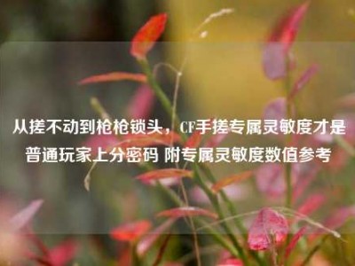 从搓不动到枪枪锁头，CF手搓专属灵敏度才是普通玩家上分密码 附专属灵敏度数值参考