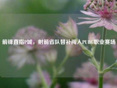 箭锋直指P城，射箭省队替补闯入PUBG职业赛场