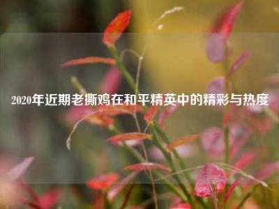 2020年近期老撕鸡在和平精英中的精彩与热度