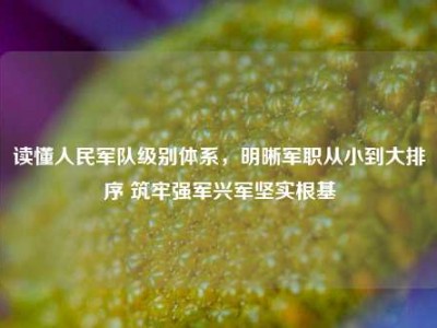 读懂人民军队级别体系，明晰军职从小到大排序 筑牢强军兴军坚实根基