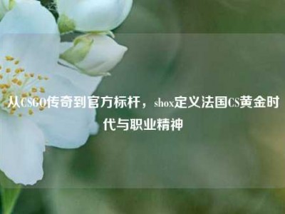 从CSGO传奇到官方标杆，shox定义法国CS黄金时代与职业精神