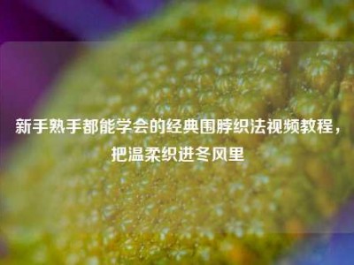 新手熟手都能学会的经典围脖织法视频教程，把温柔织进冬风里