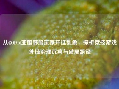 从COD16亚服韩服玩家开挂乱象，探析竞技游戏外挂治理沉疴与破局路径