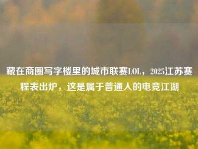 藏在商圈写字楼里的城市联赛LOL，2025江苏赛程表出炉，这是属于普通人的电竞江湖