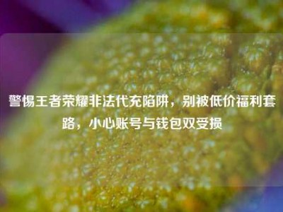 警惕王者荣耀非法代充陷阱，别被低价福利套路，小心账号与钱包双受损