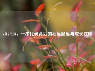 cf177138，一串代码背后的社区温度与成长注脚