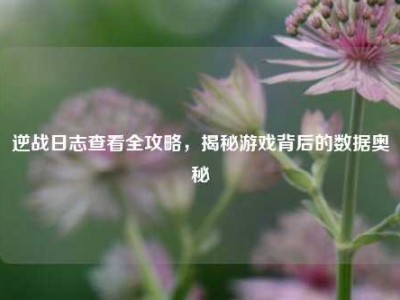 逆战日志查看全攻略，揭秘游戏背后的数据奥秘