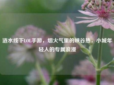 涟水线下LOL手游，烟火气里的峡谷热，小城年轻人的专属浪漫