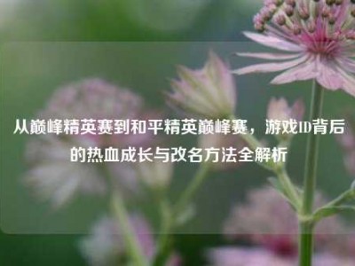 从巅峰精英赛到和平精英巅峰赛，游戏ID背后的热血成长与改名方法全解析
