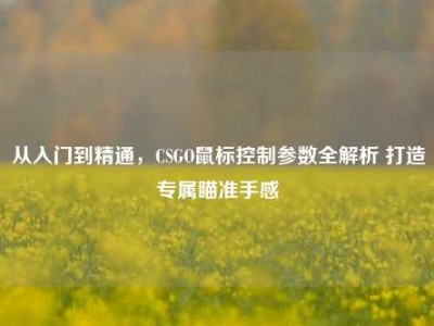 从入门到精通，CSGO鼠标控制参数全解析 打造专属瞄准手感