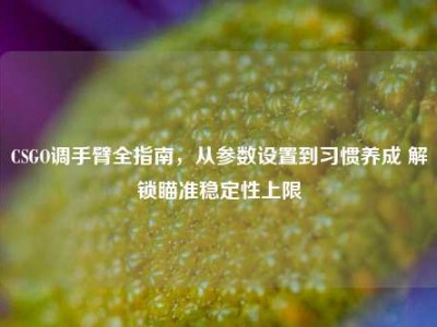 CSGO调手臂全指南，从参数设置到习惯养成 解锁瞄准稳定性上限