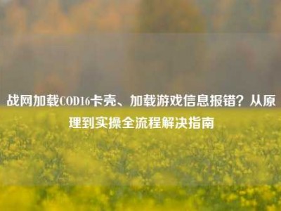 战网加载COD16卡壳、加载游戏信息报错？从原理到实操全流程解决指南