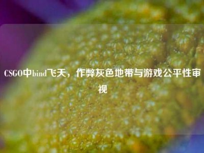 CSGO中bind飞天，作弊灰色地带与游戏公平性审视
