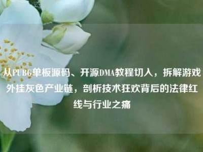 从PUBG单板源码、开源DMA教程切入，拆解游戏外挂灰色产业链，剖析技术狂欢背后的法律红线与行业之痛
