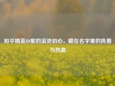 和平精英ID里的滚烫初心，藏在名字里的执着与热血