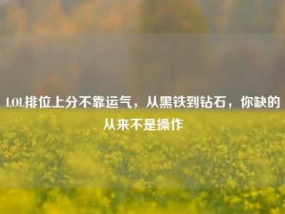 LOL排位上分不靠运气，从黑铁到钻石，你缺的从来不是操作
