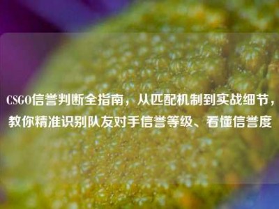 CSGO信誉判断全指南，从匹配机制到实战细节，教你精准识别队友对手信誉等级、看懂信誉度