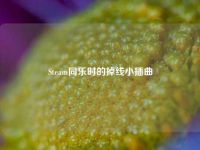 Steam同乐时的掉线小插曲