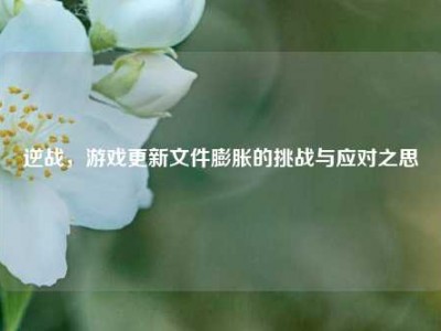 逆战，游戏更新文件膨胀的挑战与应对之思