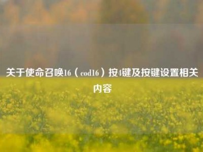 关于使命召唤16（cod16）按4键及按键设置相关内容