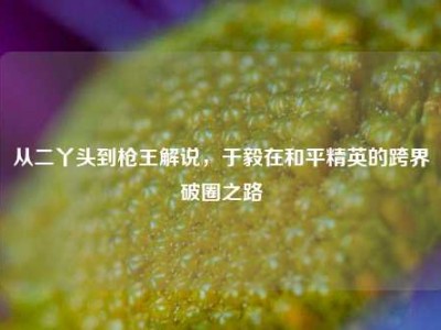 从二丫头到枪王解说，于毅在和平精英的跨界破圈之路