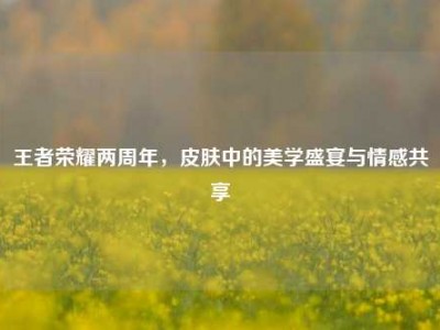 王者荣耀两周年，皮肤中的美学盛宴与情感共享