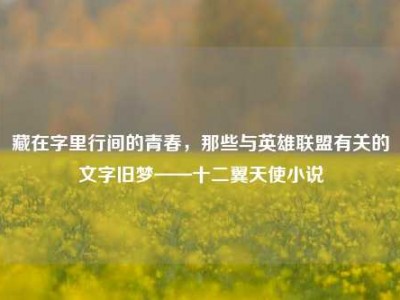 藏在字里行间的青春，那些与英雄联盟有关的文字旧梦——十二翼天使小说