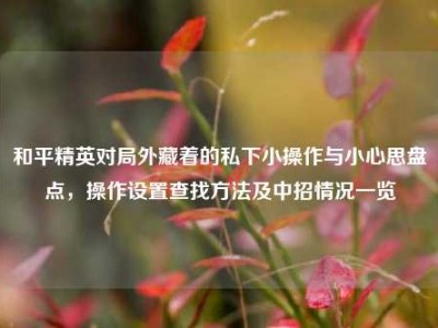 和平精英对局外藏着的私下小操作与小心思盘点，操作设置查找方法及中招情况一览