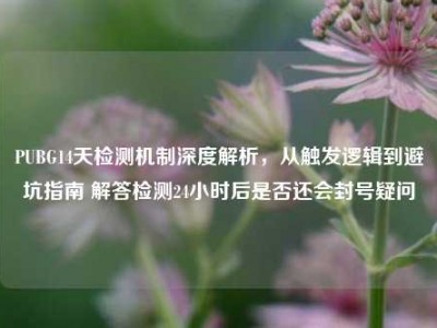 PUBG14天检测机制深度解析，从触发逻辑到避坑指南 解答检测24小时后是否还会封号疑问