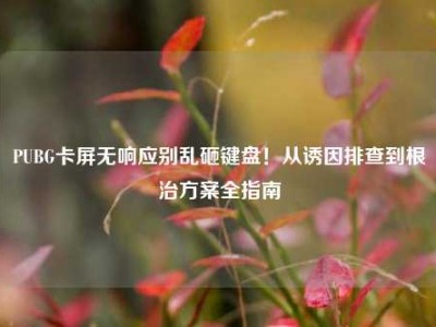 PUBG卡屏无响应别乱砸键盘！从诱因排查到根治方案全指南