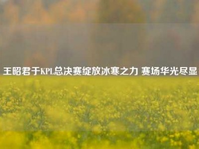 王昭君于KPL总决赛绽放冰寒之力 赛场华光尽显