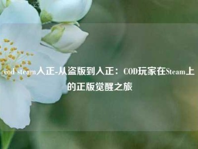 cod steam入正-从盗版到入正：COD玩家在Steam上的正版觉醒之旅