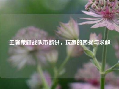 王者荣耀战队币断供，玩家的困扰与求解