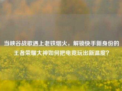 当峡谷战歌遇上老铁烟火，解锁快手新身份的王者荣耀大神如何把电竞玩出新温度？