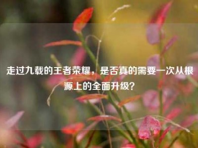 走过九载的王者荣耀，是否真的需要一次从根源上的全面升级？