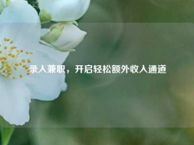 录入兼职，开启轻松额外收入通道
