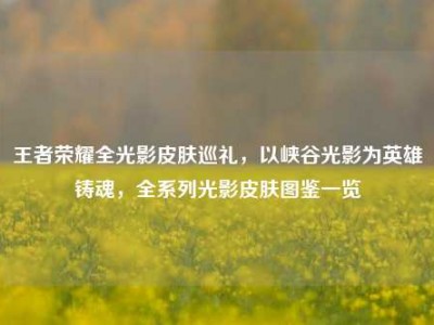 王者荣耀全光影皮肤巡礼，以峡谷光影为英雄铸魂，全系列光影皮肤图鉴一览
