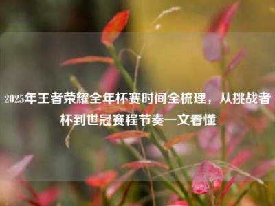 2025年王者荣耀全年杯赛时间全梳理，从挑战者杯到世冠赛程节奏一文看懂