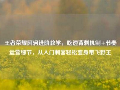 王者荣耀阿轲进阶教学，吃透背刺机制+节奏运营细节，从入门刺客轻松变身带飞野王