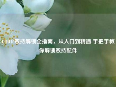 COD16双持解锁全指南，从入门到精通 手把手教你解锁双持配件