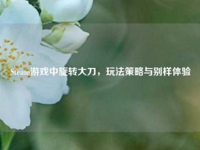 Steam游戏中旋转大刀，玩法策略与别样体验