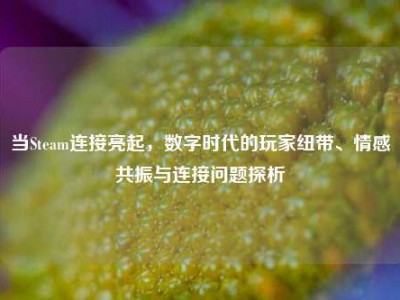 当Steam连接亮起，数字时代的玩家纽带、情感共振与连接问题探析