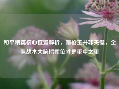 和平精英核心位置解析，刚枪王并非关键，全队战术大脑指挥位才是重中之重
