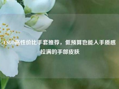 CSGO高性价比手套推荐，低预算也能入手质感拉满的手部皮肤