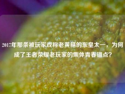 2017年那条被玩家戏称老黄鳝的东皇太一，为何成了王者荣耀老玩家的集体青春锚点？