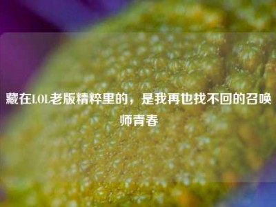 藏在LOL老版精粹里的，是我再也找不回的召唤师青春