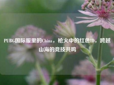 PUBG国际服里的China，枪火中的红色ID，跨越山海的竞技共鸣