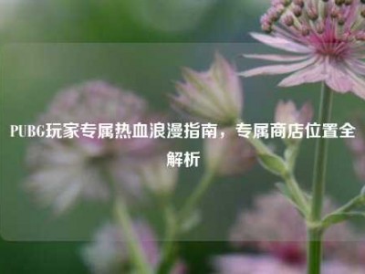 PUBG玩家专属热血浪漫指南，专属商店位置全解析