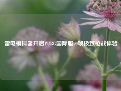 雷电模拟器开启PUBG国际服90帧极致枪战体验